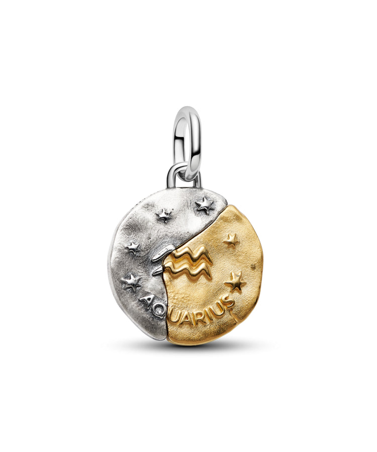 Conta Pandora Medalhão do Zodíaco Aquário