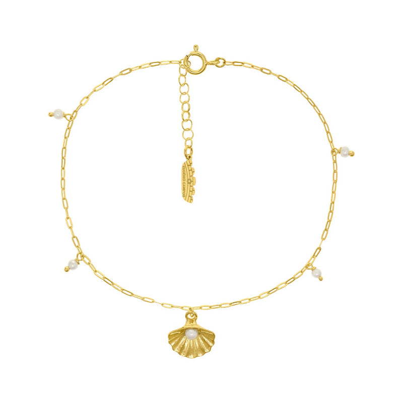 Pulseira Seashell Tornozelo Eugénio Campos