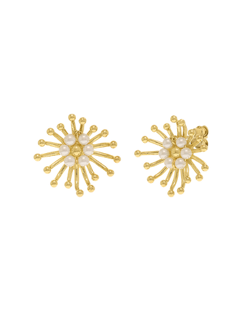 Brincos Fireworks Eugénio Campos Prata Dourada