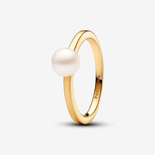 Anel Pandora Shine Timeless
