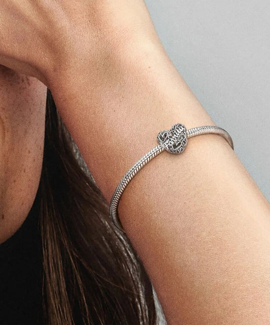 Conta Pandora Coração de Família