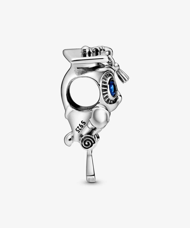 Conta Pandora Wise Owl