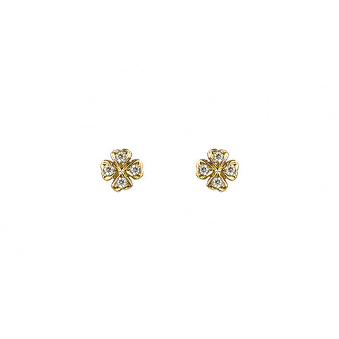 Tornilhos trevos ouro 800 OOTR001445
