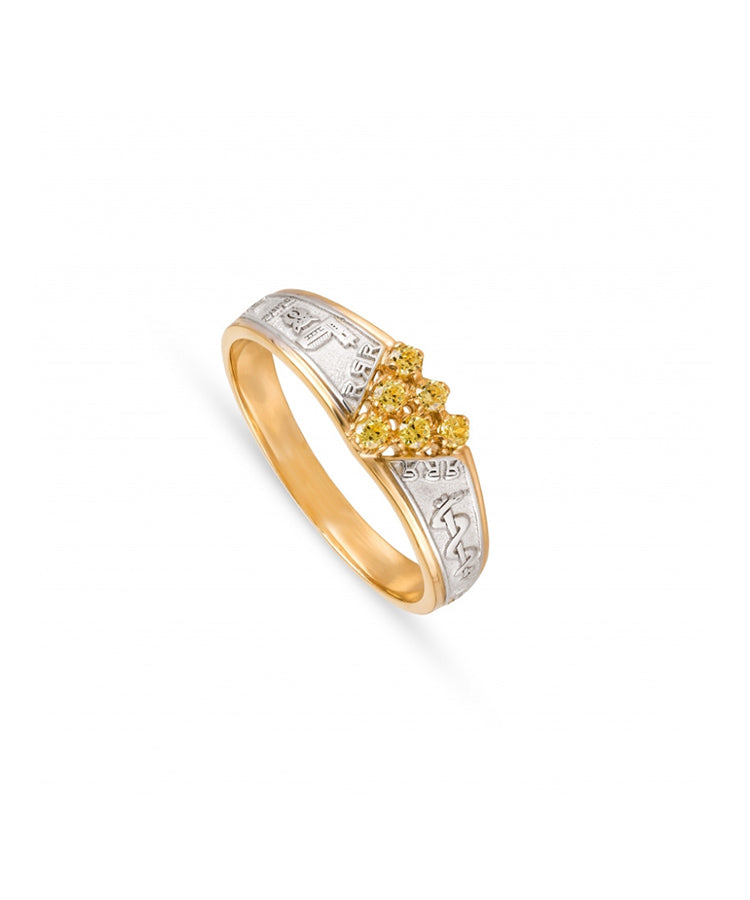 Anel curso ANF005953A