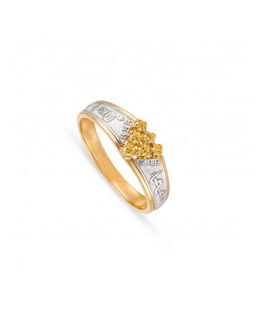 Anel curso ANF005953A